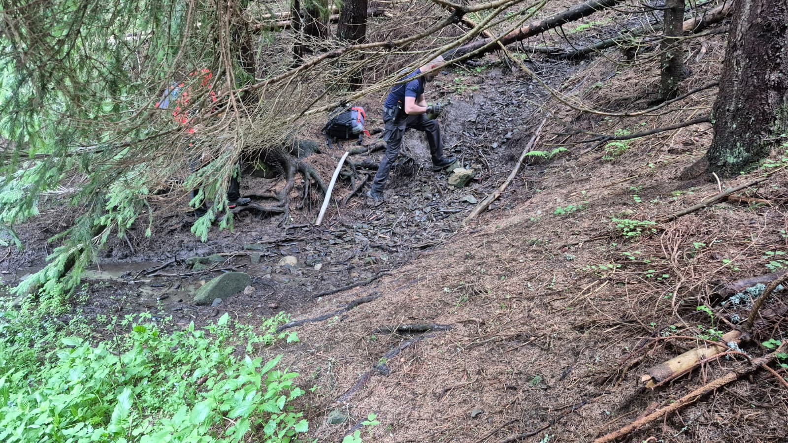 Wild Survival - cadru real din teren