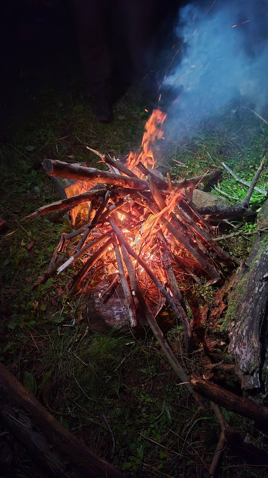 Wild Survival - foc și noapte în teren